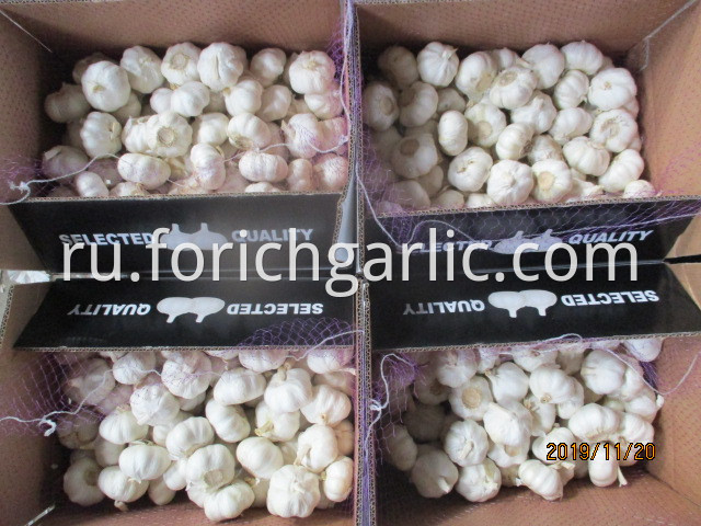 Best Quality 2019 Pure White Garlic
